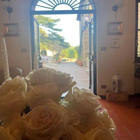 Schiatti 3*